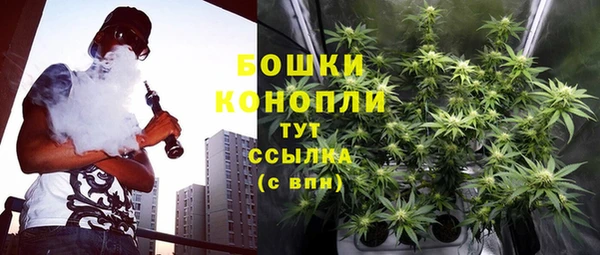 дурь Горняк